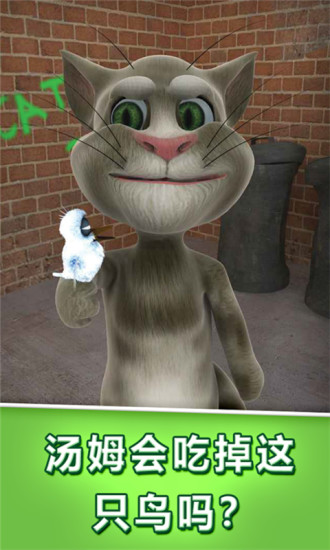 会说话的汤姆猫1破解版游戏