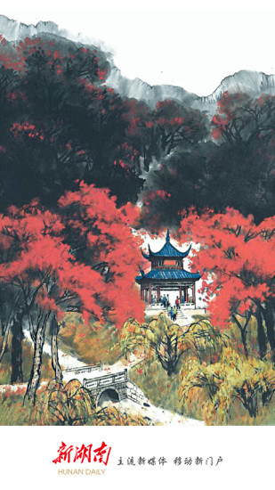 新湖南 新湖南软件