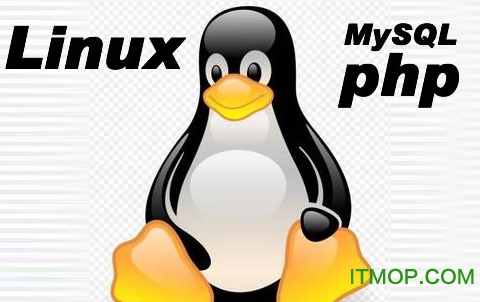 PHP linux下载
