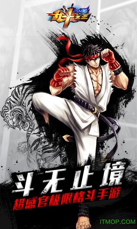 乱斗之王内购破解版