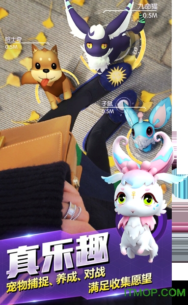萌宠大爆炸懒人版