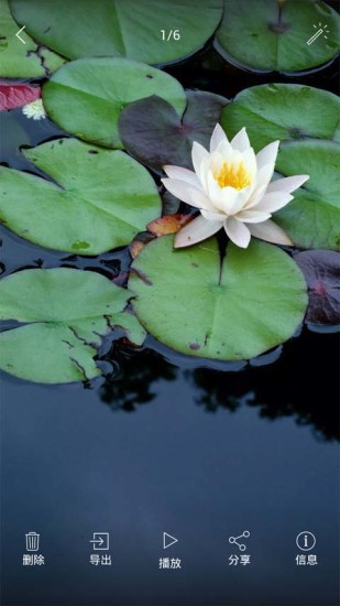 相册管家手机版