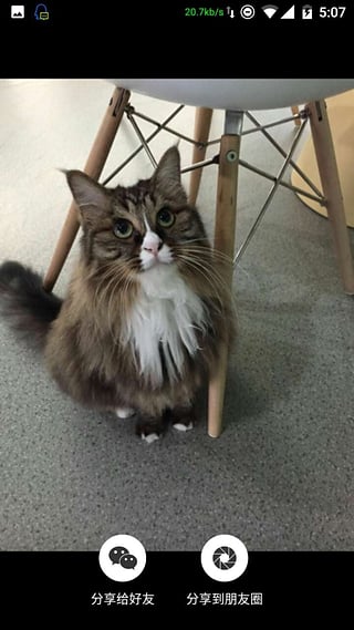 微信助手手机版下载