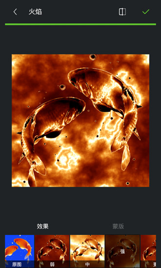 理理相册免费版