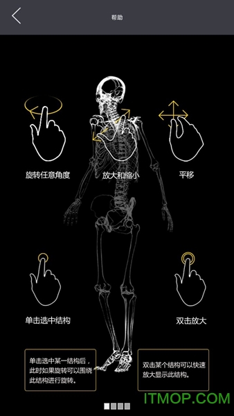 3dbody最新破解版下载