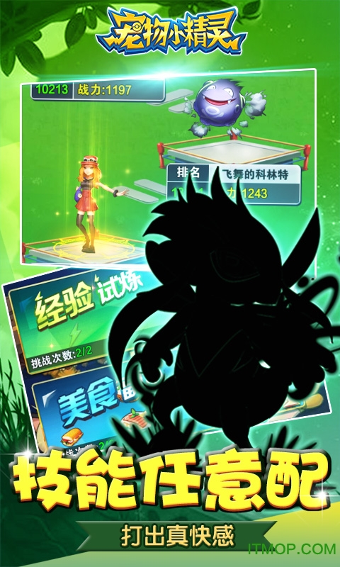 宠物小精灵满v版