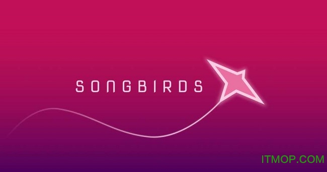 songbirds游戏