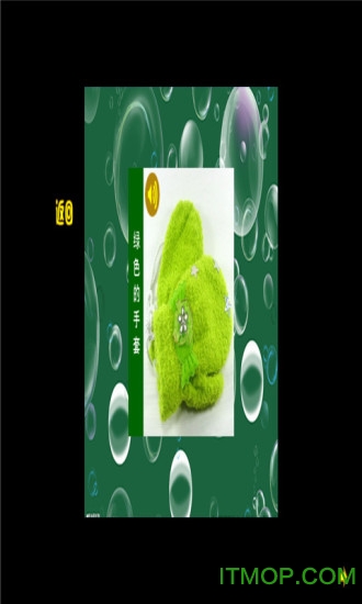 KT猫学颜色app KT猫学颜色官方下载