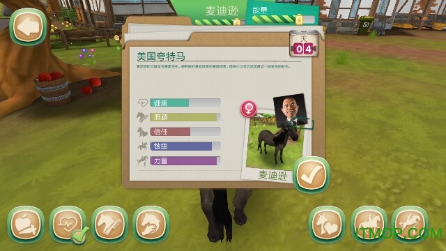 照顾马匹破解版