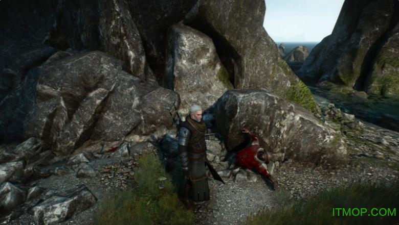 巫师3超级肢解mod 巫师3超级肢解mod