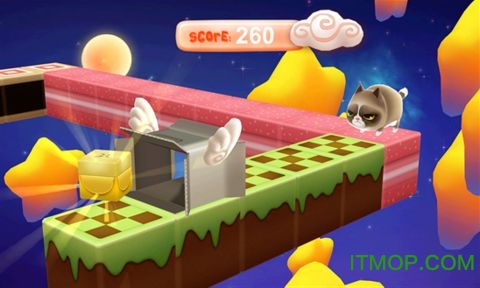 盒子里的猫破解版下载