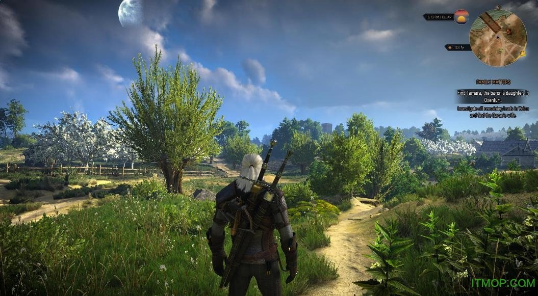 巫师3湖女之剑MOD 巫师3湖女之剑MOD