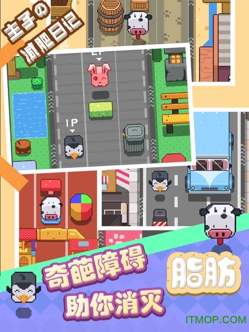 主子の减肥日记