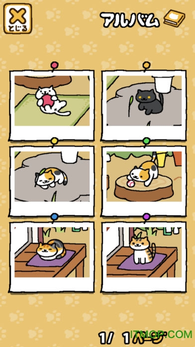 猫咪后院ios下载