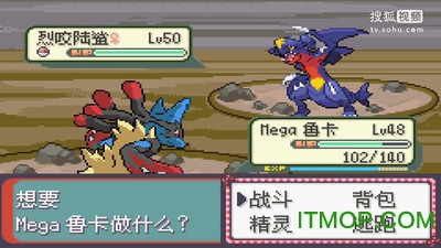 口袋妖怪永恒之沫ios