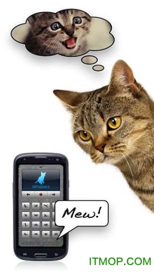 猫语翻译器ios版