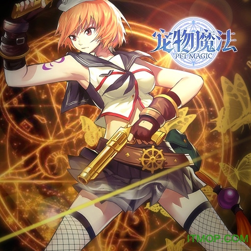 宠物魔法果盘版