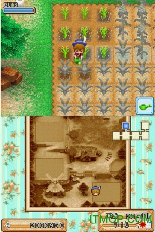 牧场物语风之集市手机版