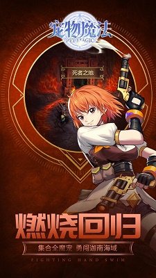 宠物魔法九游版