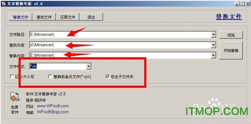 文本替换专家替换文本内容