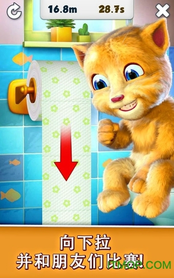 我的金杰猫Talking Ginger