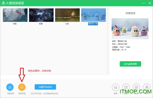 “初音动态视频桌面素材”