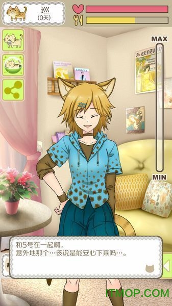 我家不可思议的猫咪