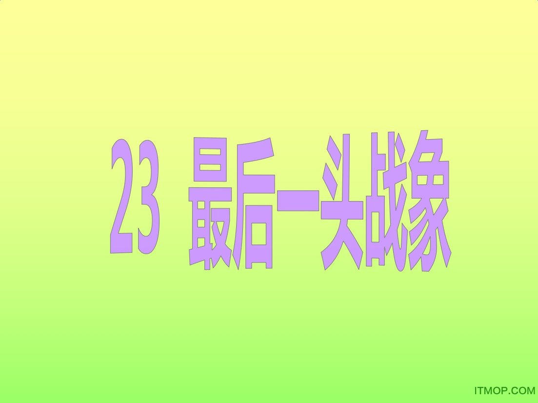 最后一头战象ppt