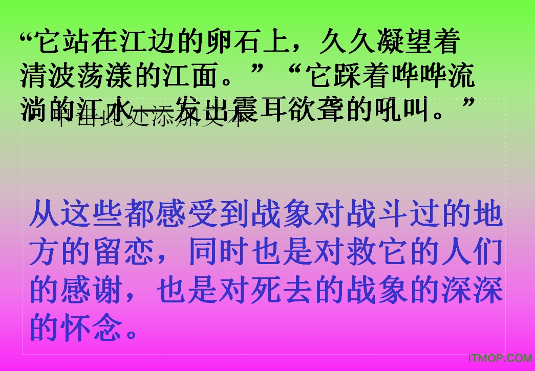 最后一头战象ppt