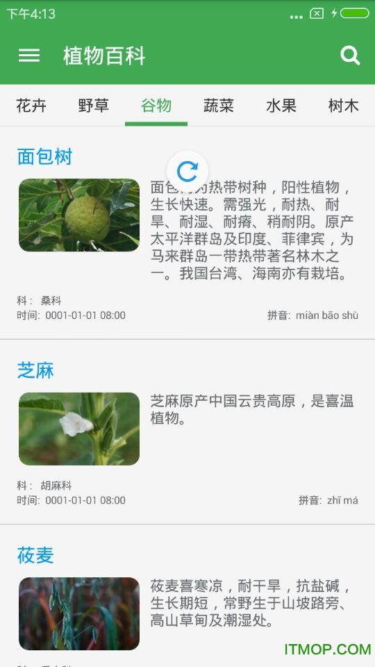 植物百科 植物百科