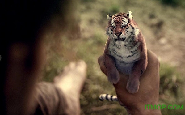 yeti for maya2016下载