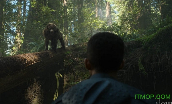 yeti maya2015安装教程