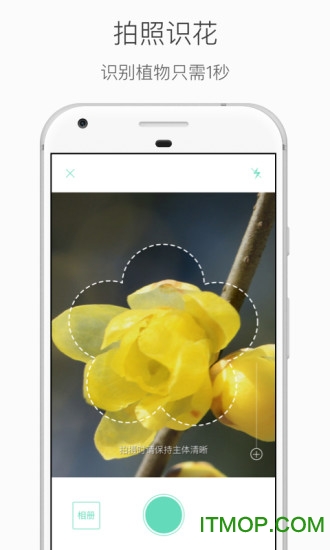 拍照识别植物app
