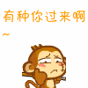 猴子表情包18