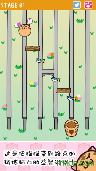 猫过马路最新版