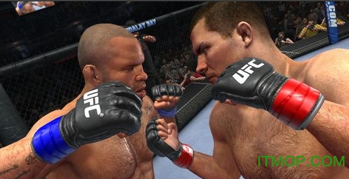 UFC终极格斗冠军赛2010中文版