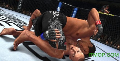 UFC终极格斗冠军赛2010中文版