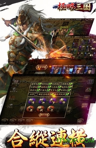 极略三国全神将存档版