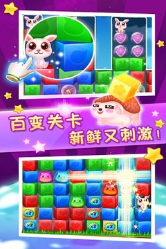 消灭星星救宠物游戏