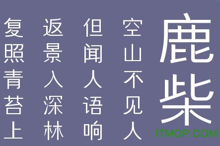 叶根友微宋中粗字体