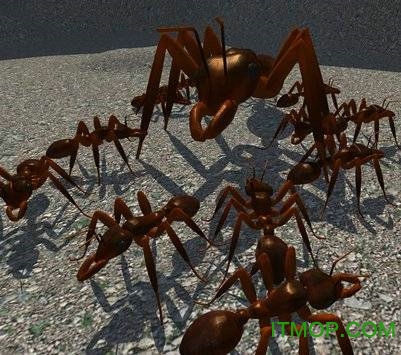 蚂蚁模拟器3d中文破解版下载