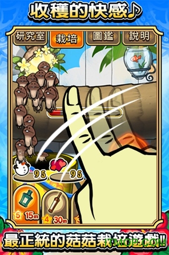 滑子菇栽培豪华版汉化版 滑子菇栽培豪华版汉化
