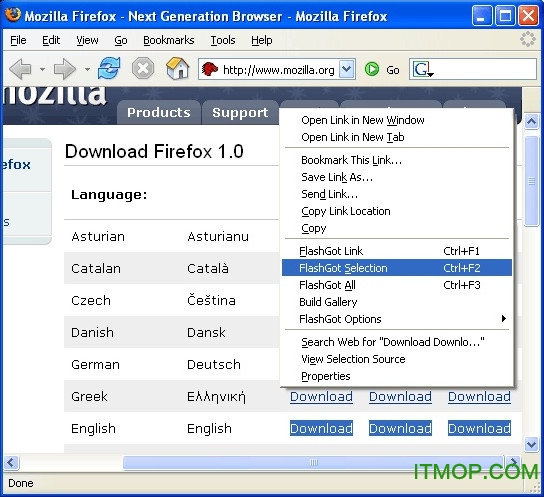 火狐FlashGot免费版