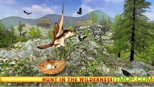 野生猎鹰模拟器破解版