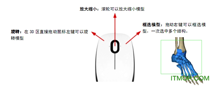 3dbody6.0破解版下载