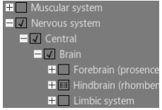 3dbody6.0破解版下载