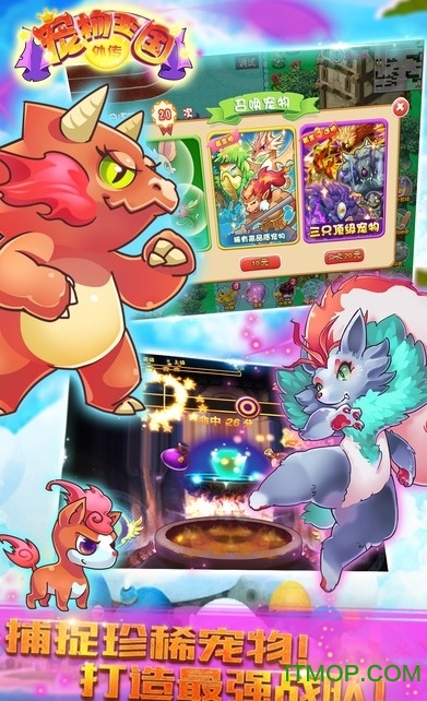 宠物王国外传破解版