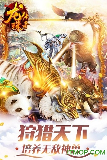 龙珠传奇之无间道