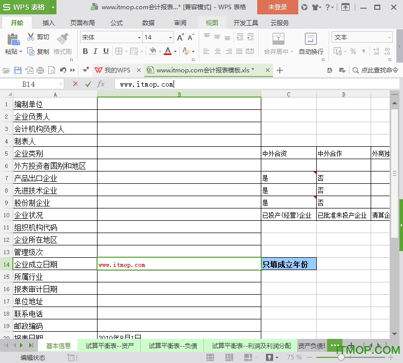 会计报表模板下载
