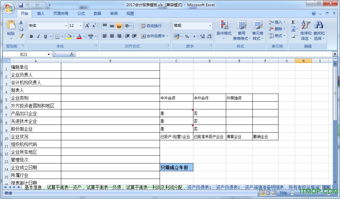 2017会计报表模板